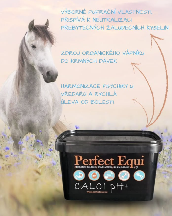 Snímek obrazovky 2025-08-13 112838